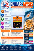 ENKAP-MYSIS Microencapsulated Shrimp Larval Diet – 100 Micron