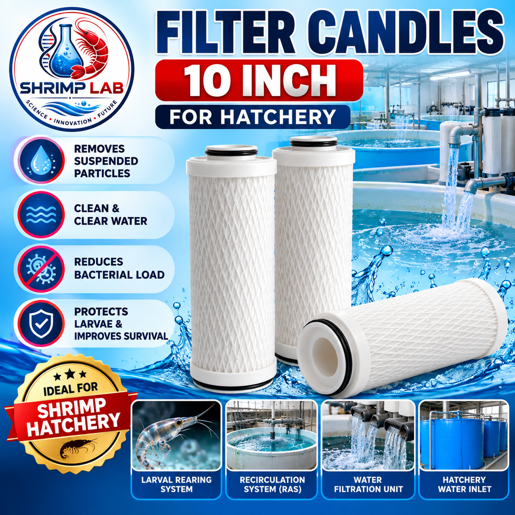 Filter Candles - 10 Inch