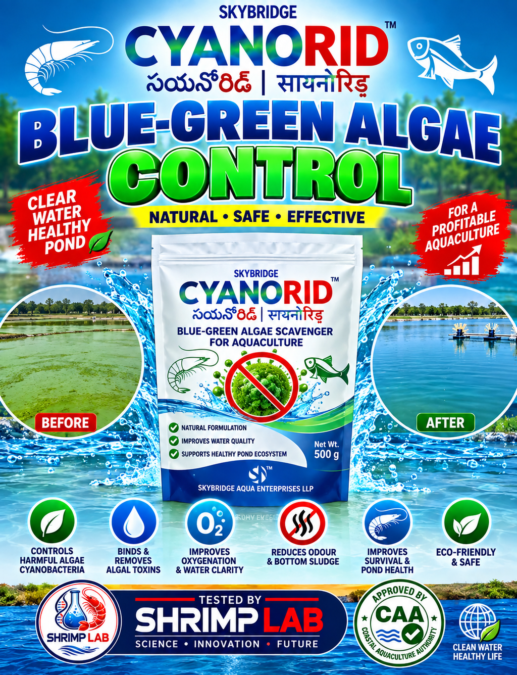 🦐 SKYRIDGE CYANORID – Blue-Green Algae Scavenger for Aquaculture