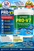 SKYRIDGE PRO-V7 Multi-Strain Probiotic for Shrimp Ponds