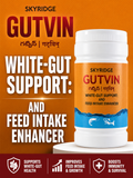 GUT VIN