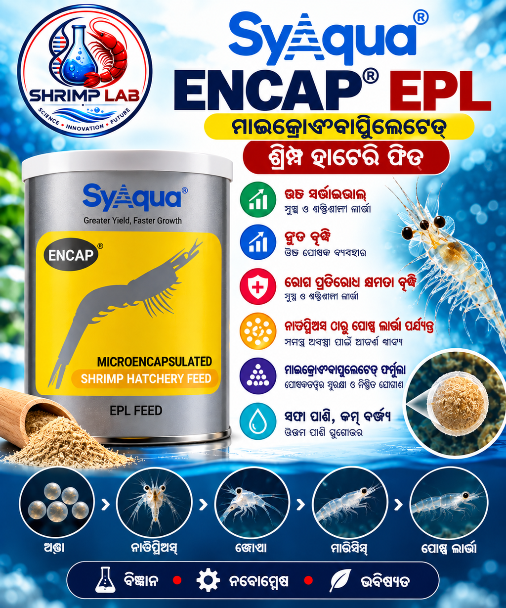 SyAqua ENCAP® EPL Microencapsulated Shrimp Hatchery Feed – 1 Tin