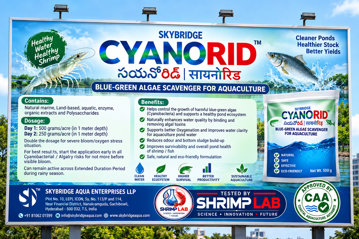 🦐 SKYRIDGE CYANORID – Blue-Green Algae Scavenger for Aquaculture