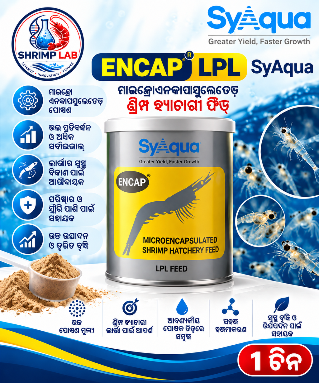 SyAqua ENCAP® LPL – Microencapsulated Shrimp Hatchery Feed – 1 Tin