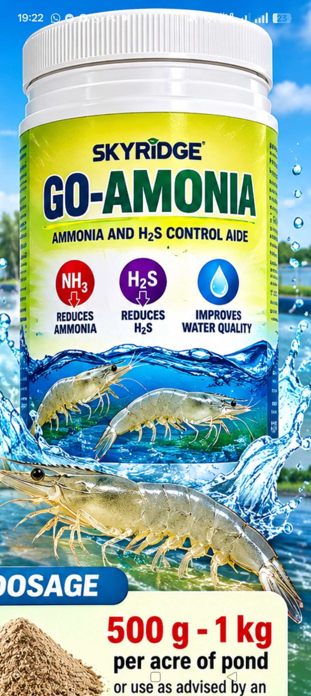 Go Ammonia
