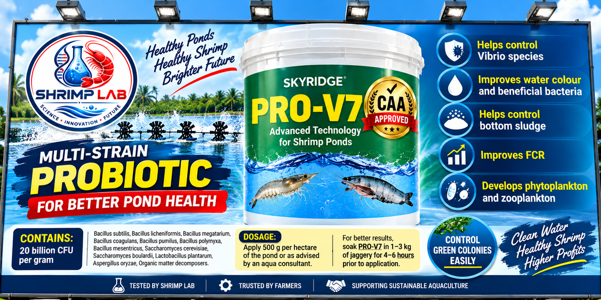 SKYRIDGE PRO-V7 Multi-Strain Probiotic for Shrimp Ponds