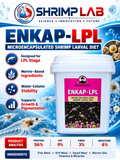 OCEAN TREAT ENKAP-LPL Microencapsulated Shrimp Larval Diet | Specialised Feed for LPL Stage Shrimp Larvae | Marine-Based Ingredients