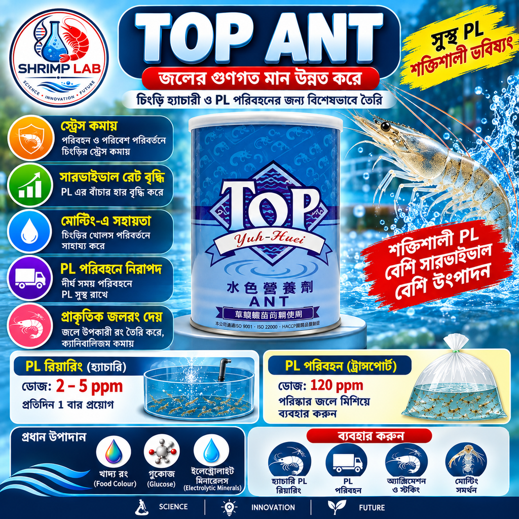 TOP ANT | Aquaculture Water Conditioner & Aquatic Nutrition Supplement for Shrimp Hatchery & PL Transport