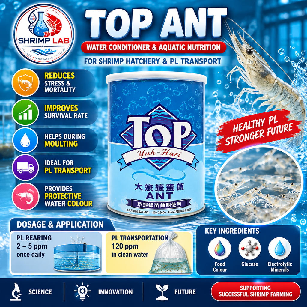 TOP ANT | Aquaculture Water Conditioner & Aquatic Nutrition Supplement for Shrimp Hatchery & PL Transport