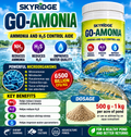 Go Ammonia