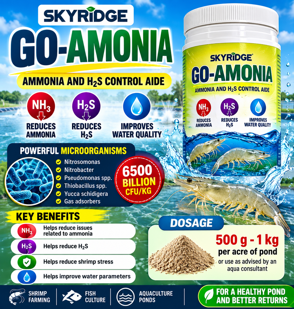 Go Ammonia