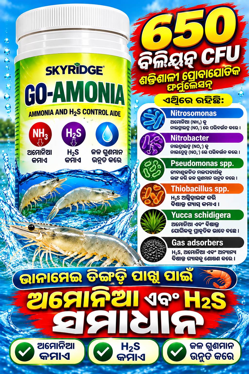 Go Ammonia