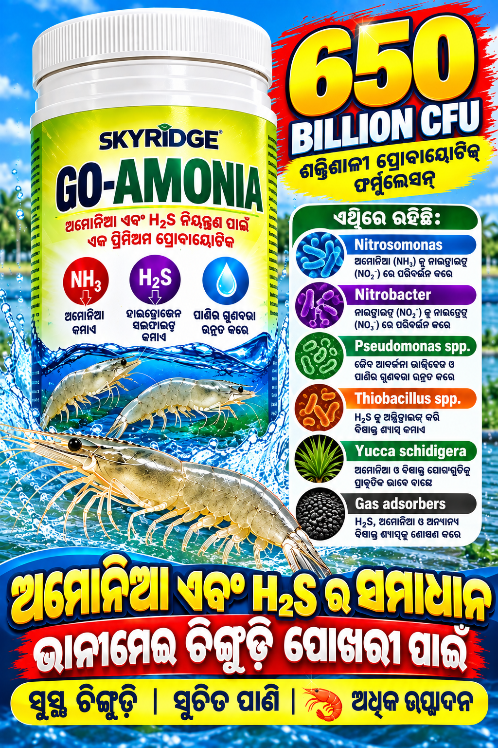 Go Ammonia