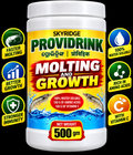 SKYRIDGE Providrink | Rapid Weight Gain & Free Molting