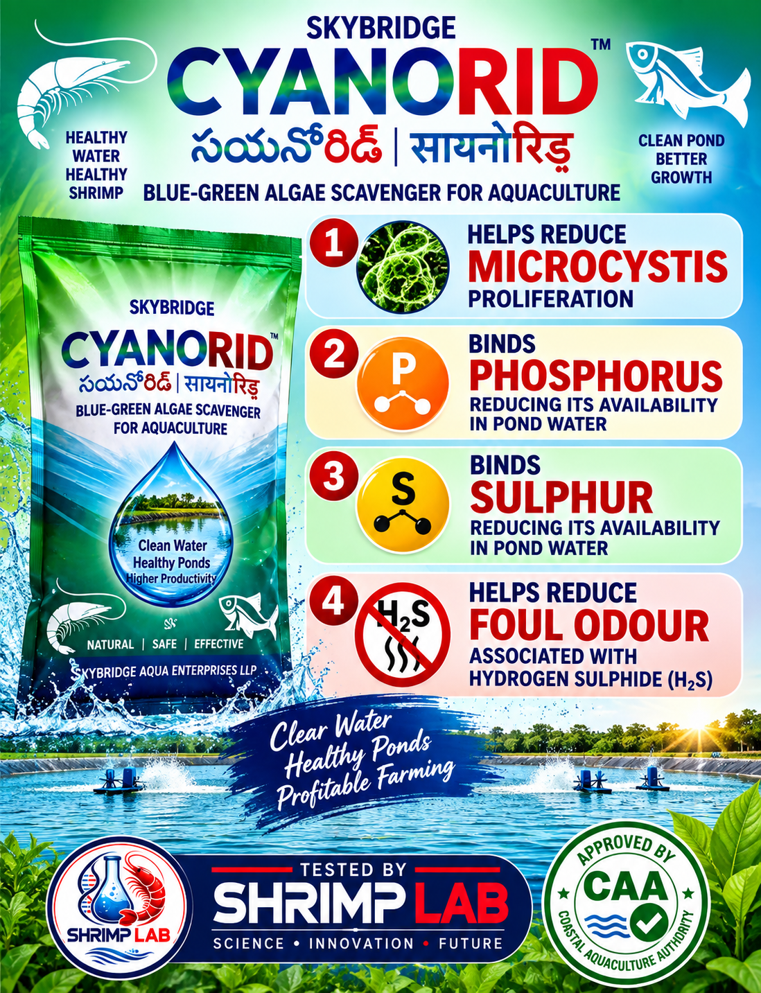 🦐 SKYRIDGE CYANORID – Blue-Green Algae Scavenger for Aquaculture